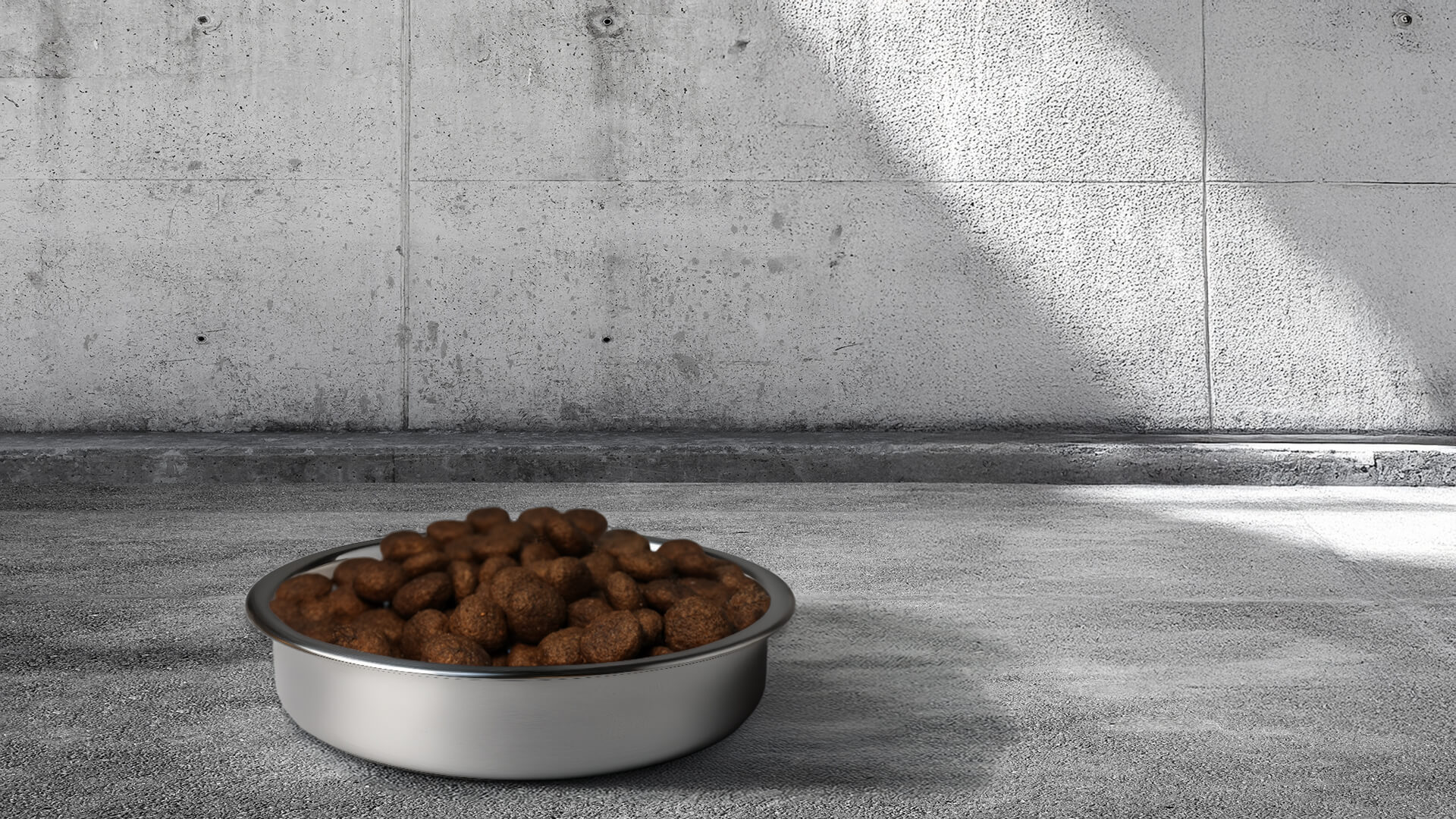 Testpakete für Hund