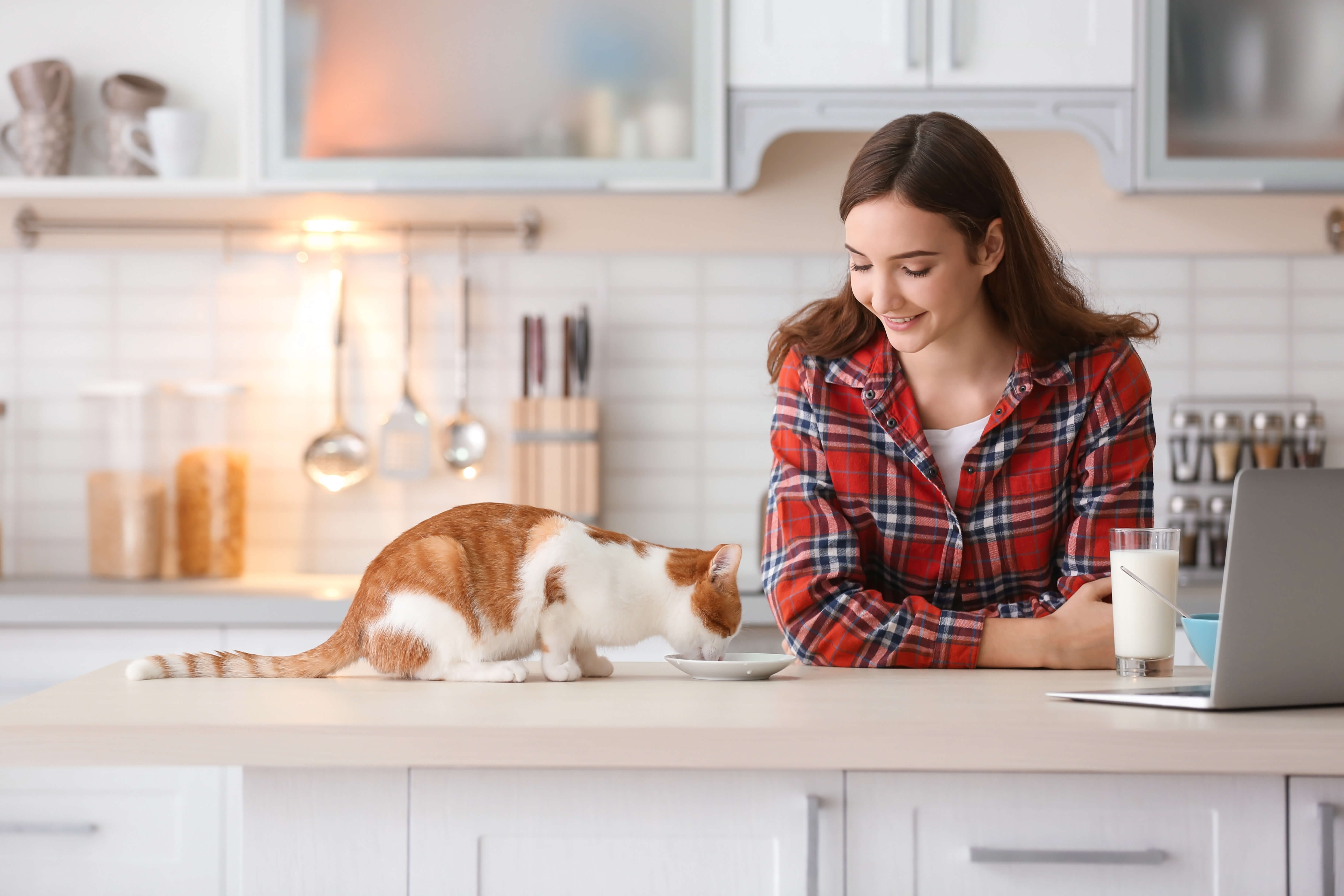 Frau füttert ihre Katze