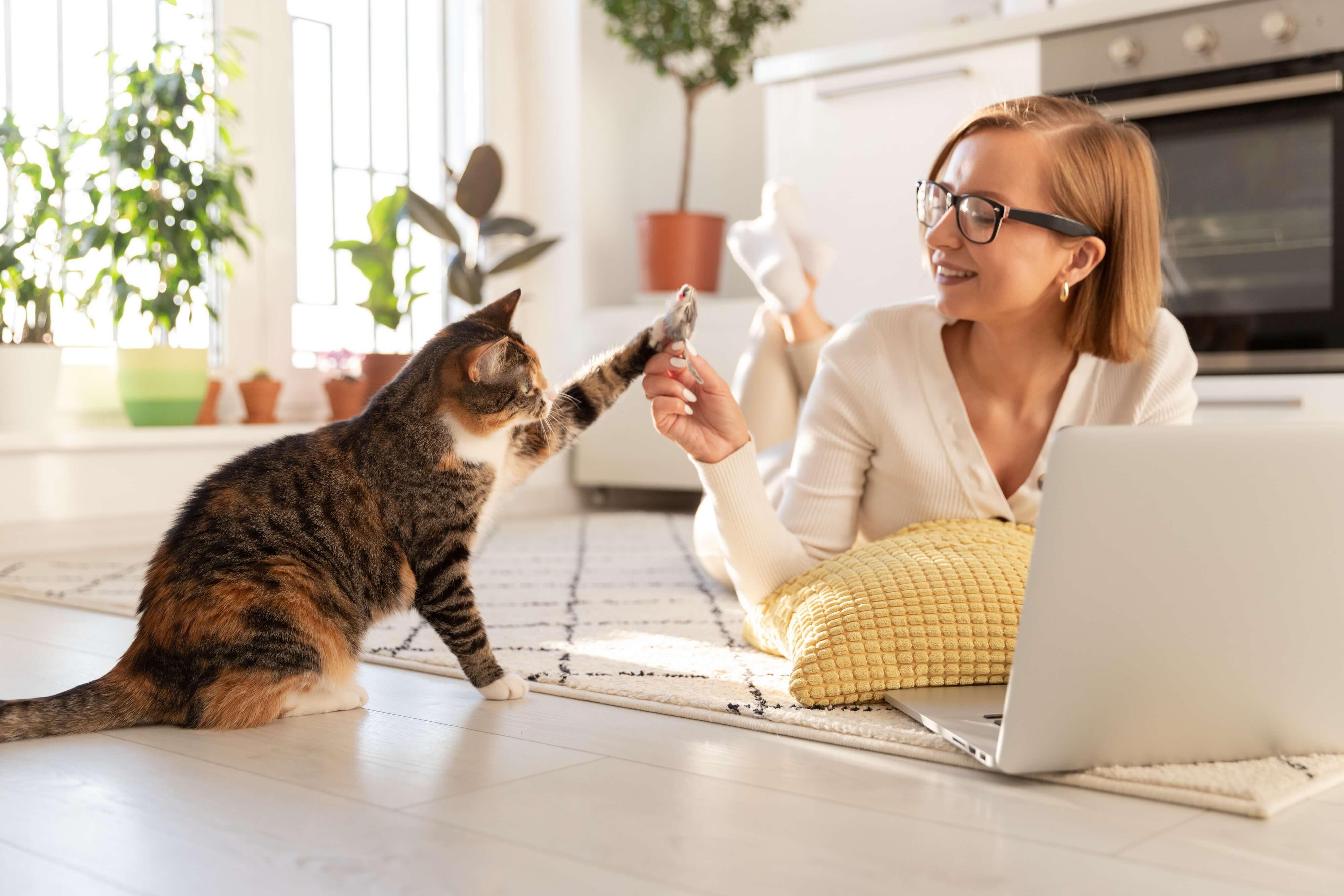 Katze spielt mit ihrer Katze