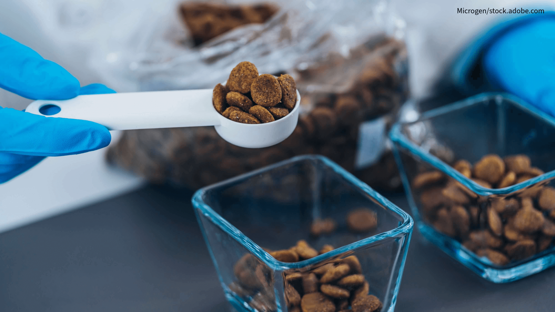 Qualitätskontrolle Tierfutter