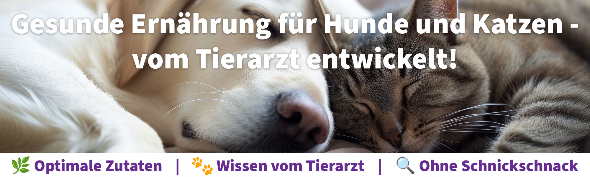 Banner: Dr.Berg Tiernahrung - Gesunde Ernährung für Hunde und Katzen vom Tierarzt einwickelt