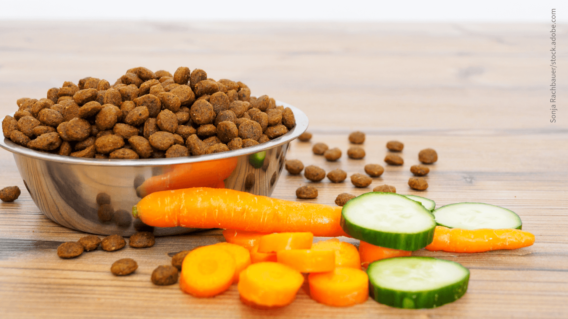 Alleinfutter mit Frische fürs Mikrobiom