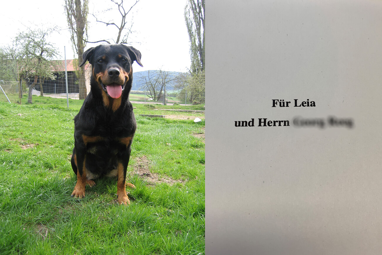 Rottweiler Hündin Leia - mit ihr begann alles