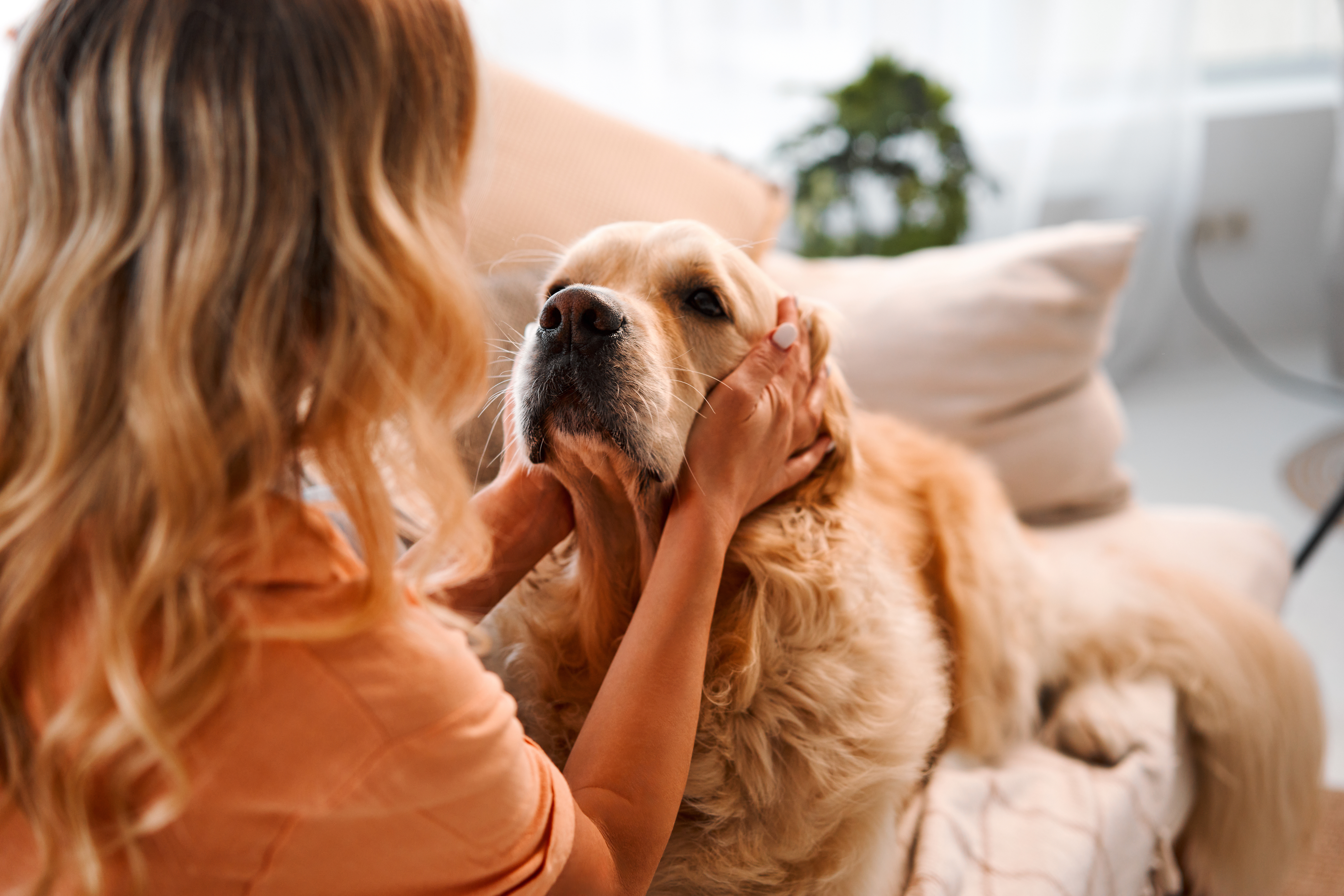 Dog owner lovingly hugs his dog, symbolizing support and community for dog owners.