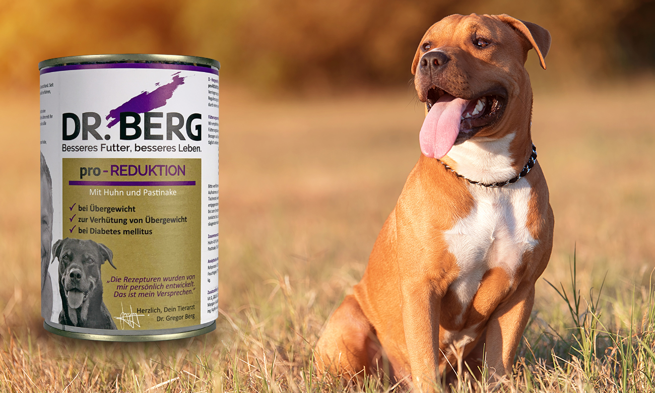 pro WEIGHT REDUCTION from Dr. Berg pet food Dr. Berg Pet food