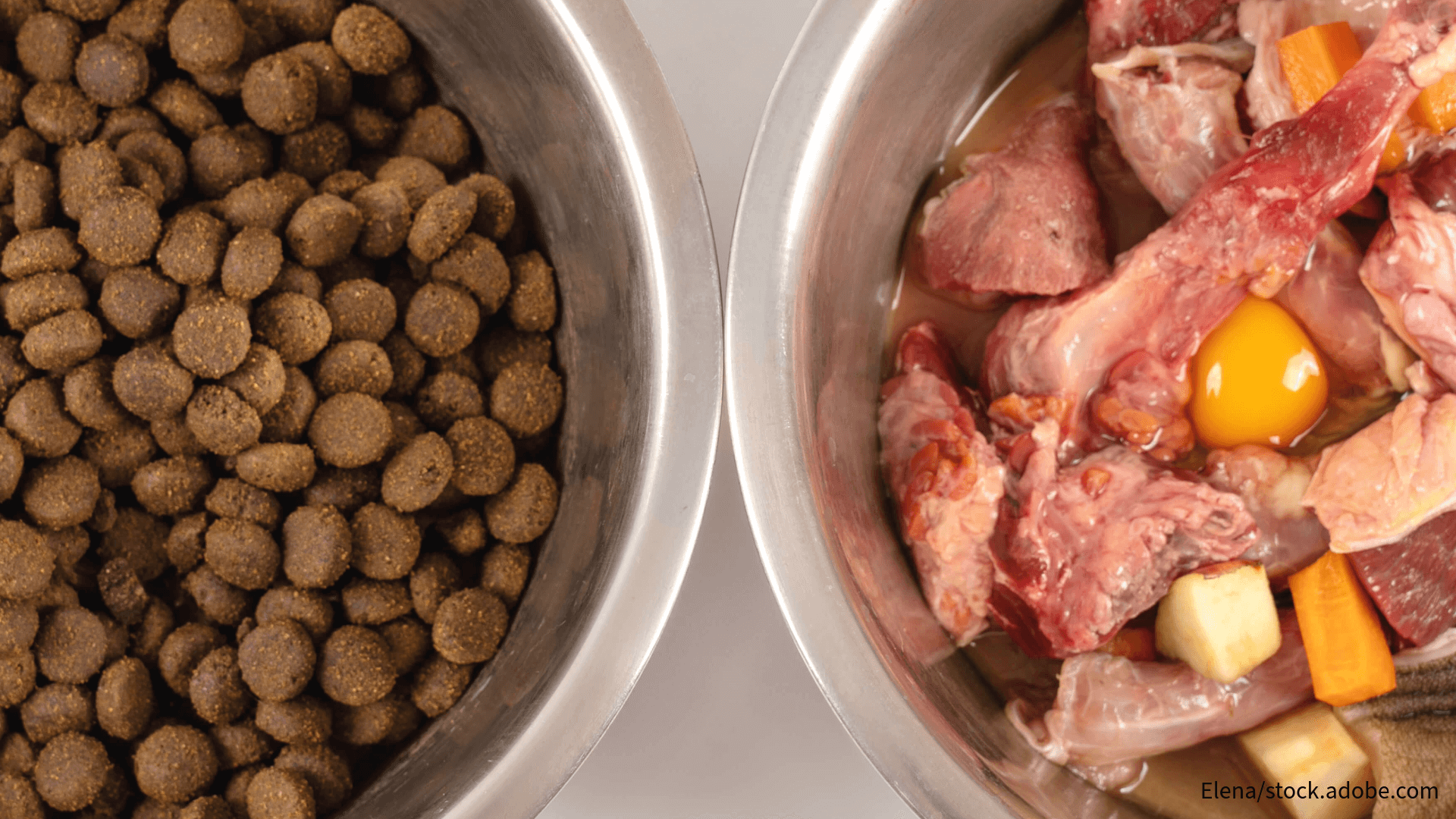 Barf vs. Fertigfutter