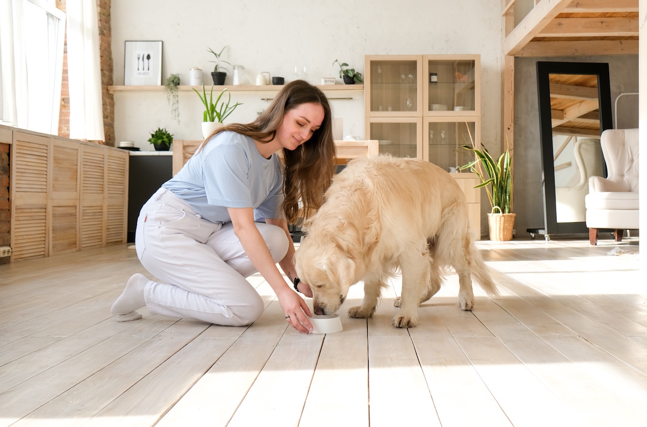 Eine Frau füttert ihren Hund. 