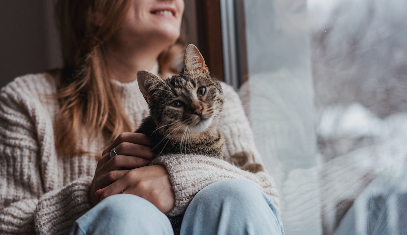 Katze kuschelt mit Frau