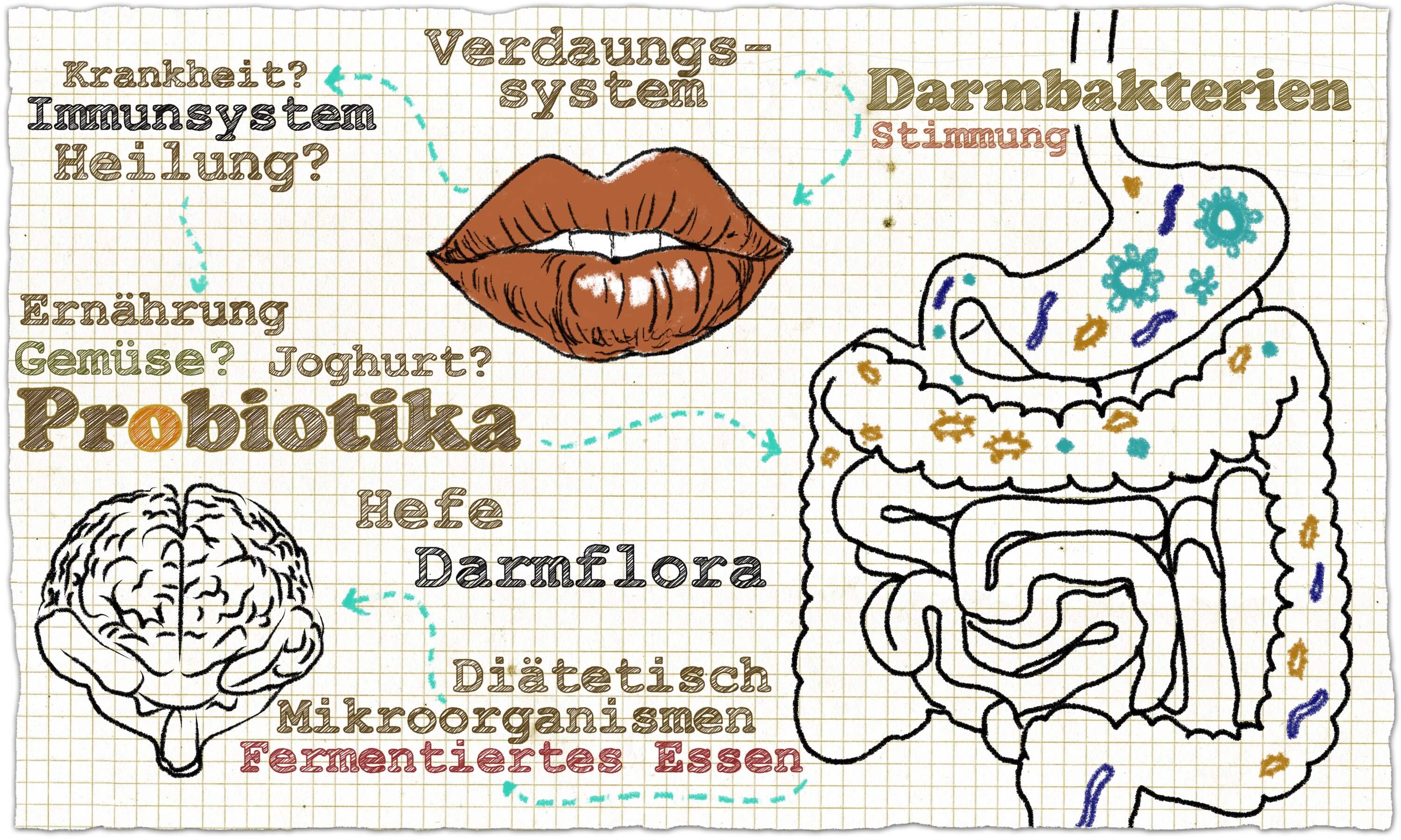 Mikrobiom und Gehirn