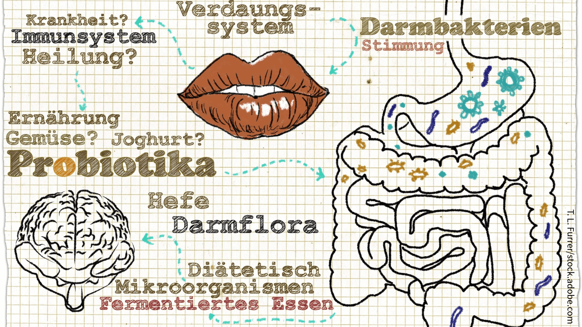 Mikrobiom und Gehirn