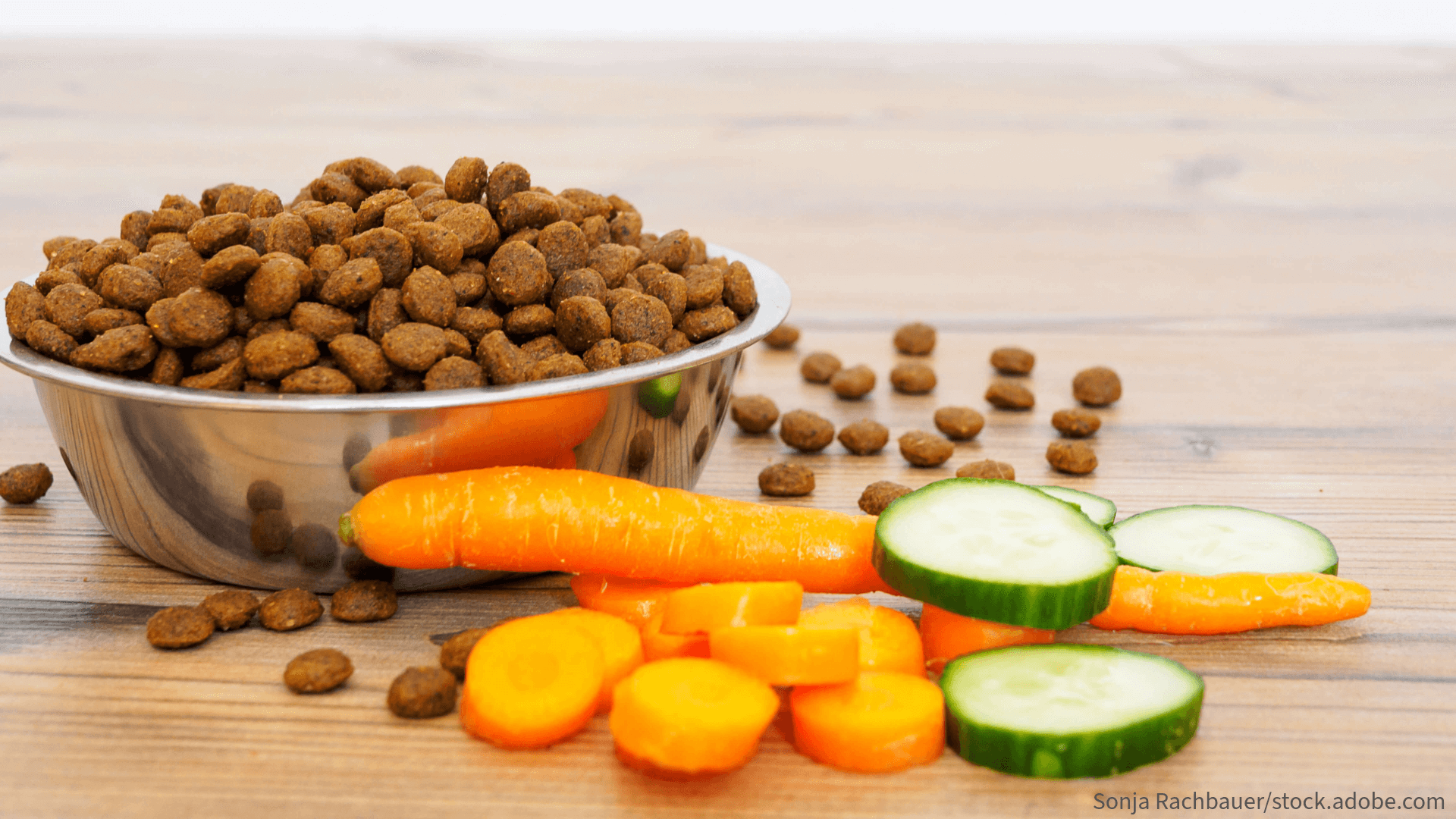 Ein Napf mit Alleinfutter und frischen Zusätzen für das Mikrobiom